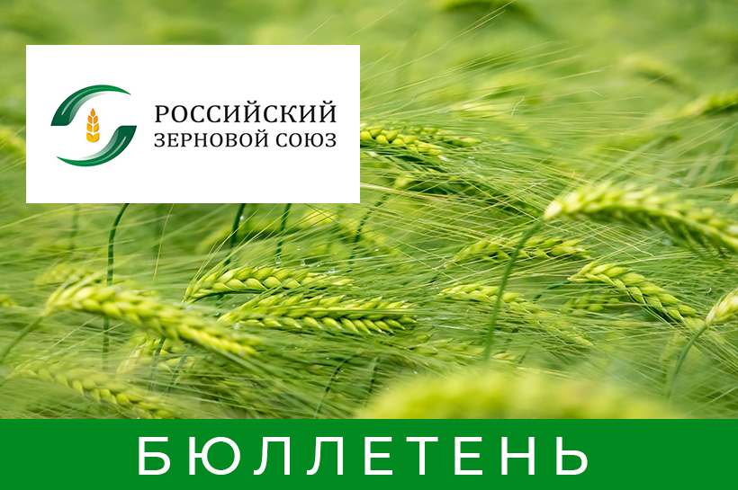Бюллетень Российского Зернового Союза №41 (863) Бюллетень Российского Зернового Союза №41 (863)