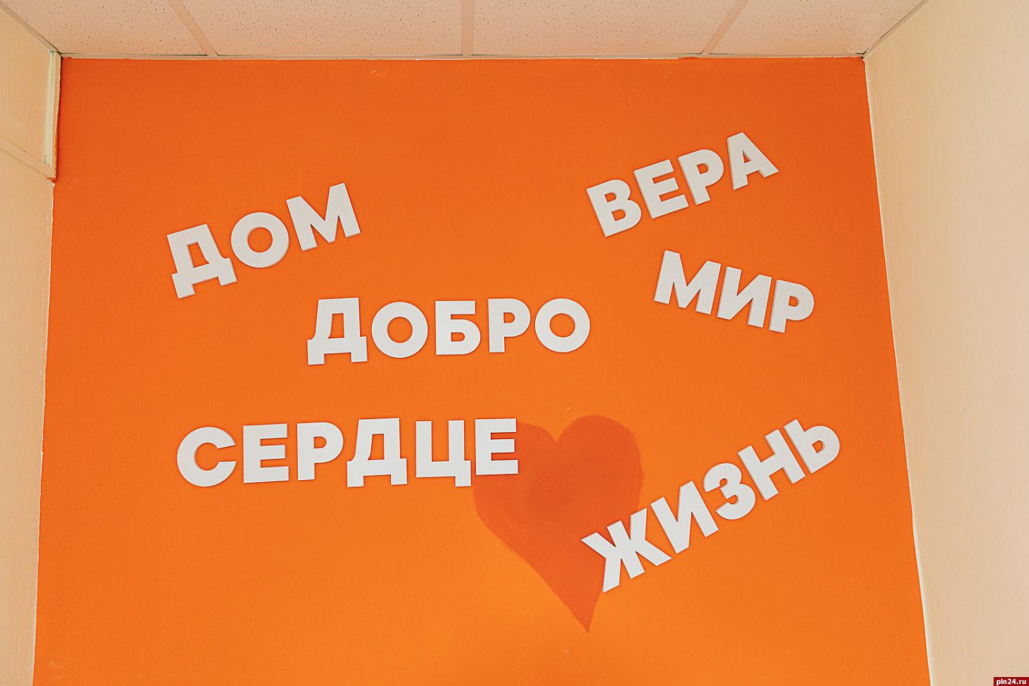 В Пскове открылся «ДоброДомик». ФОТОРЕПОРТАЖ